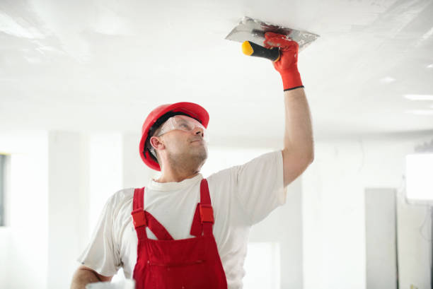 Best Touch-Up Painting Services  in Minnetonka, MN